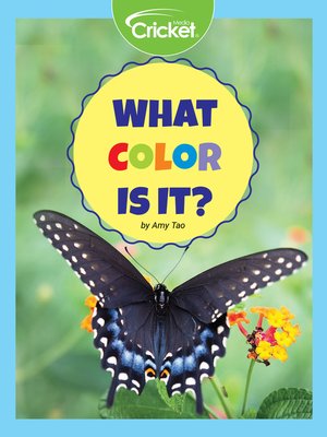 cover image of What Color Is It?